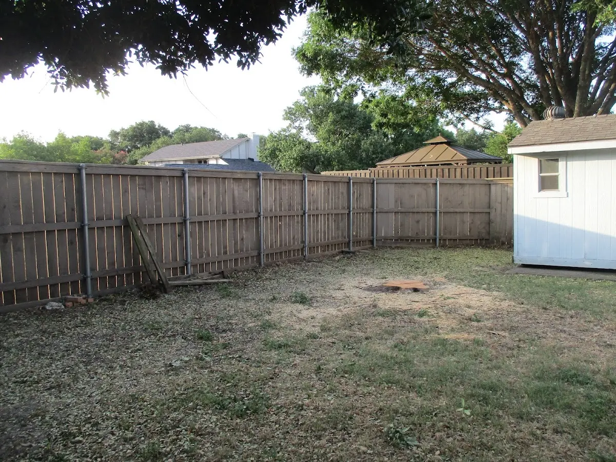 Cleared yard after professional tree removal in Allenwood
