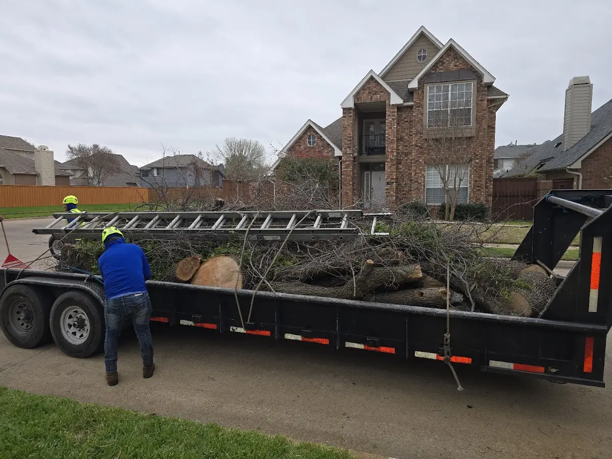 Expert Lot Clearing with proper safety equipment in Allenwood